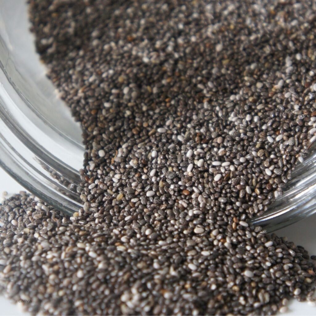 up close picture of chia seeds